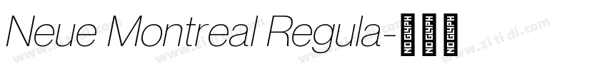 Neue Montreal Regula字体转换